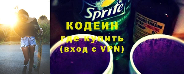 твердый Лагань