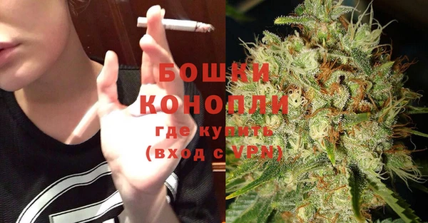 твердый Лагань