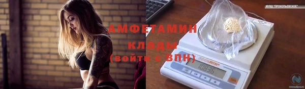 твердый Лагань
