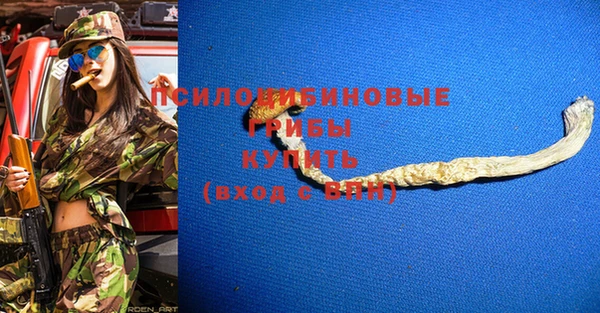 твердый Лагань