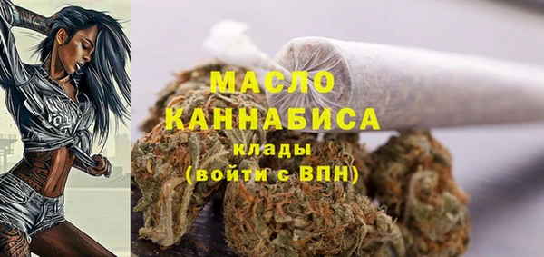 твердый Лагань