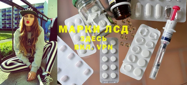 твердый Лагань