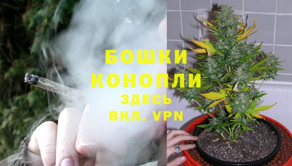 2c-b Лабытнанги