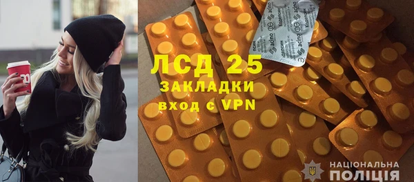 твердый Лагань